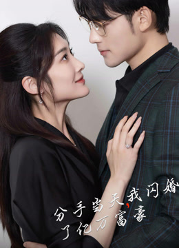 分手当天我闪婚了亿万富豪封面图