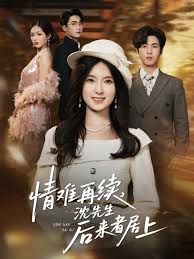 情难再续，沈先生后来者居上封面图