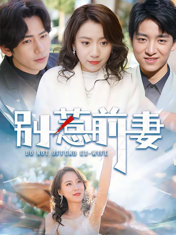 别惹前妻封面图