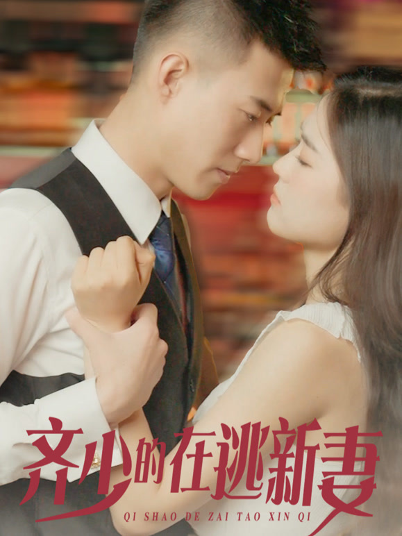 齐少的在逃新妻