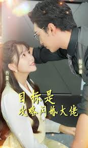 目标是攻略闪婚大佬