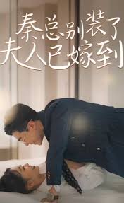 秦总别装了夫人已嫁到封面图