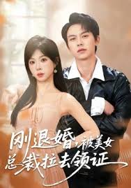 刚退婚，被美女总裁拉去领证封面图