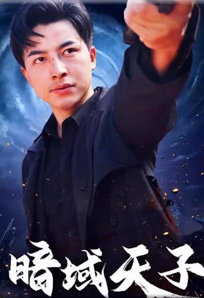 暗域天子封面图