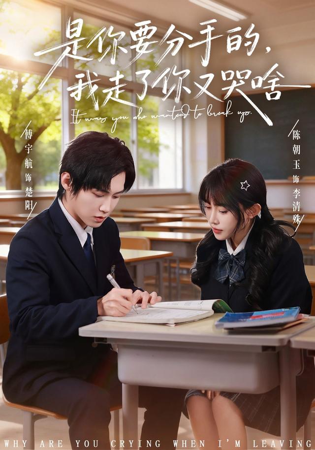 是你要分手的，我走了你又哭啥封面图