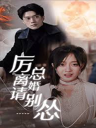 厉总离婚请别怂封面图