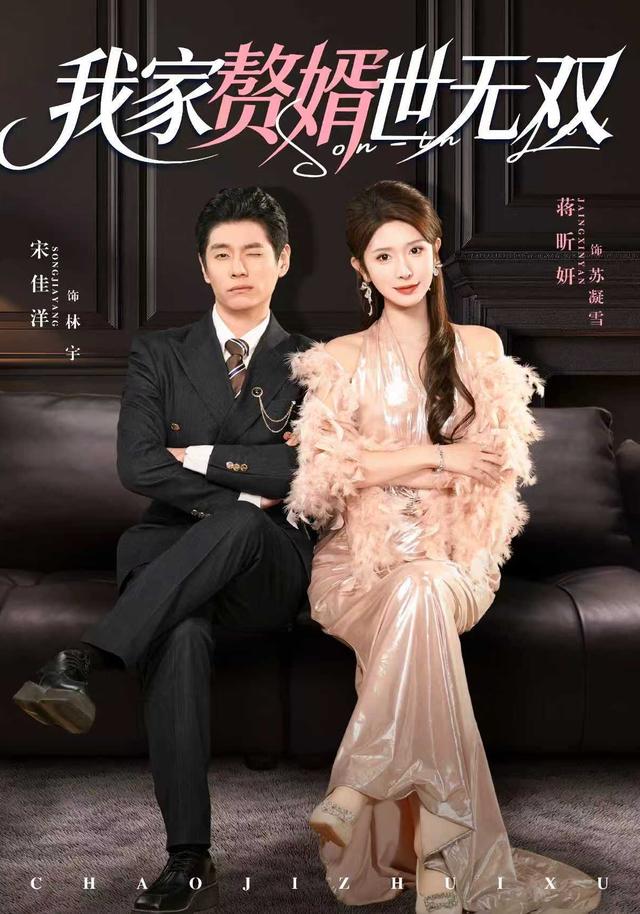 我家赘婿世无双封面图