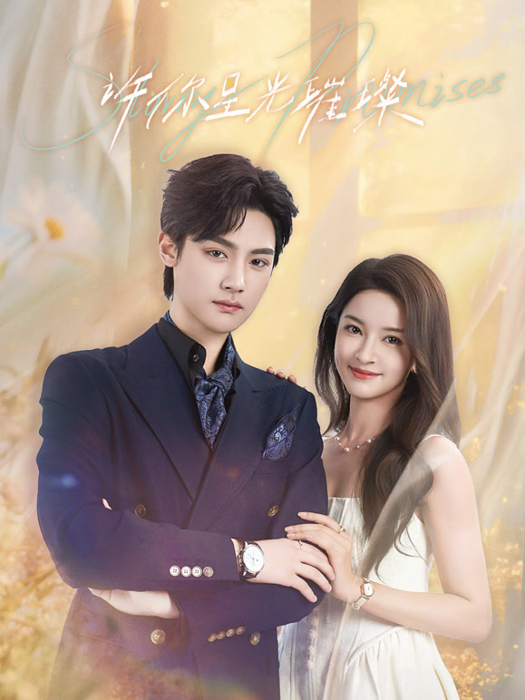 许你星光璀璨封面图