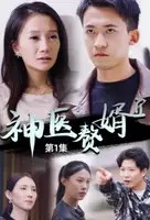 神医赘婿封面图