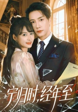 宁归时，经年至封面图