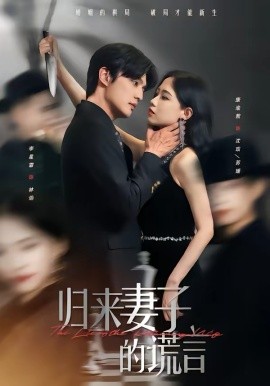 归来妻子的谎言封面图