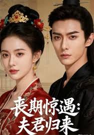 丧期惊遇：夫君归来封面图