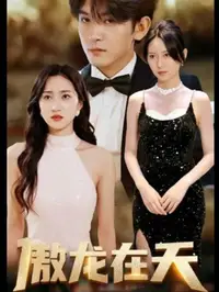 傲龙在天封面图