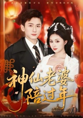 神仙老婆陪过年封面图