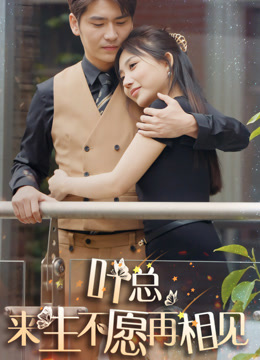 叶总来生不愿再相见封面图