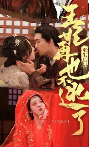 重生后王妃再也不逃了