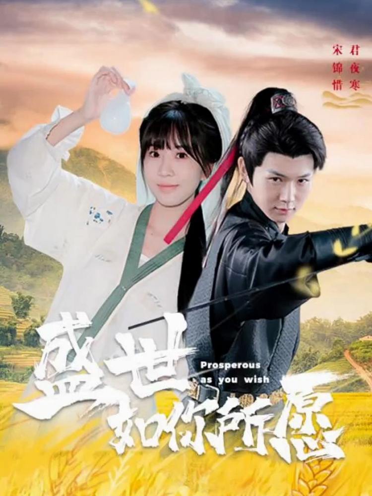 盛世如你所愿封面图