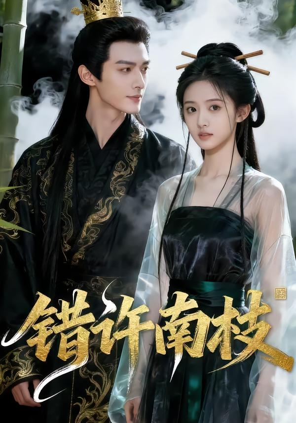 错许南枝封面图