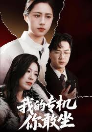 我的专机你敢坐封面图