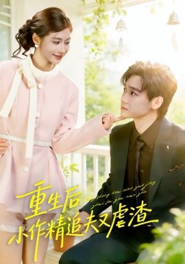 重生后，小撩精追夫又虐渣封面图