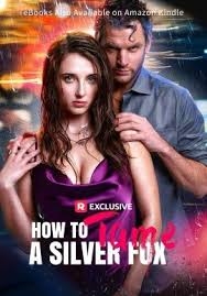 如何驯服银狐封面图