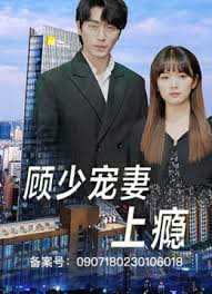 顾少宠妻上瘾封面图