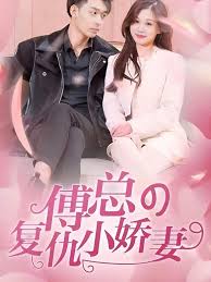 傅总的复仇小娇妻封面图