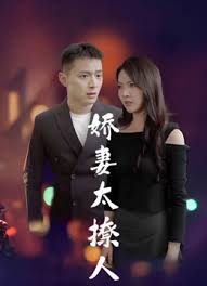 娇妻太撩人封面图