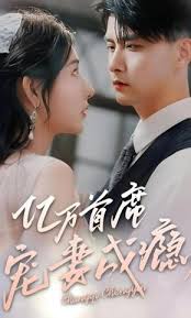 亿万首席宠妻成瘾封面图