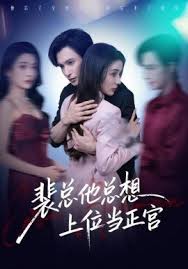 裴总他总上位当正宫封面图