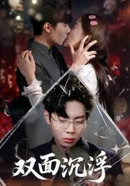 双面沉浮封面图