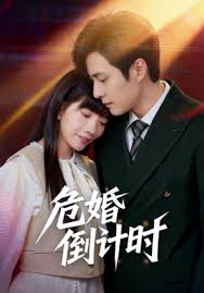 危婚倒计时封面图