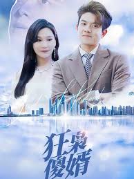 狂枭傻婿封面图