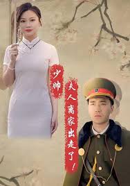 少帅，夫人离家出走了封面图