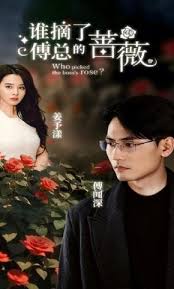 谁摘了傅总的蔷薇