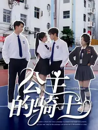 公主的骑士封面图