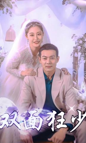 双面狂少封面图