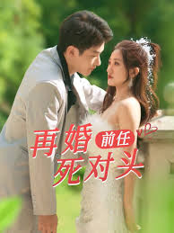 再婚前任死对头封面图