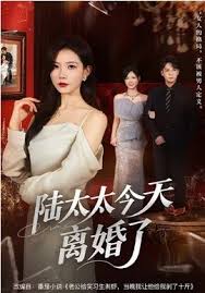 陆太太今天离婚了封面图