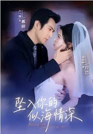 坠入你的似海情深封面图