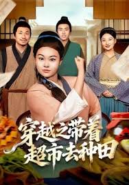 穿越之带着超市去种田封面图