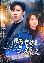 我的老婆是特工封面图