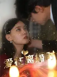 爱在离婚时封面图