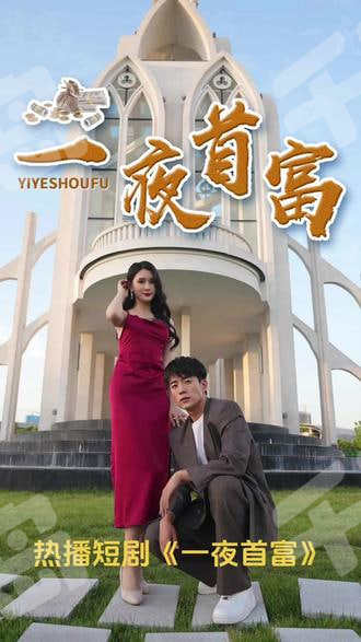 一夜首富封面图