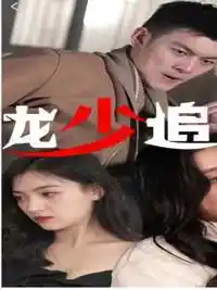 龙少追妻封面图