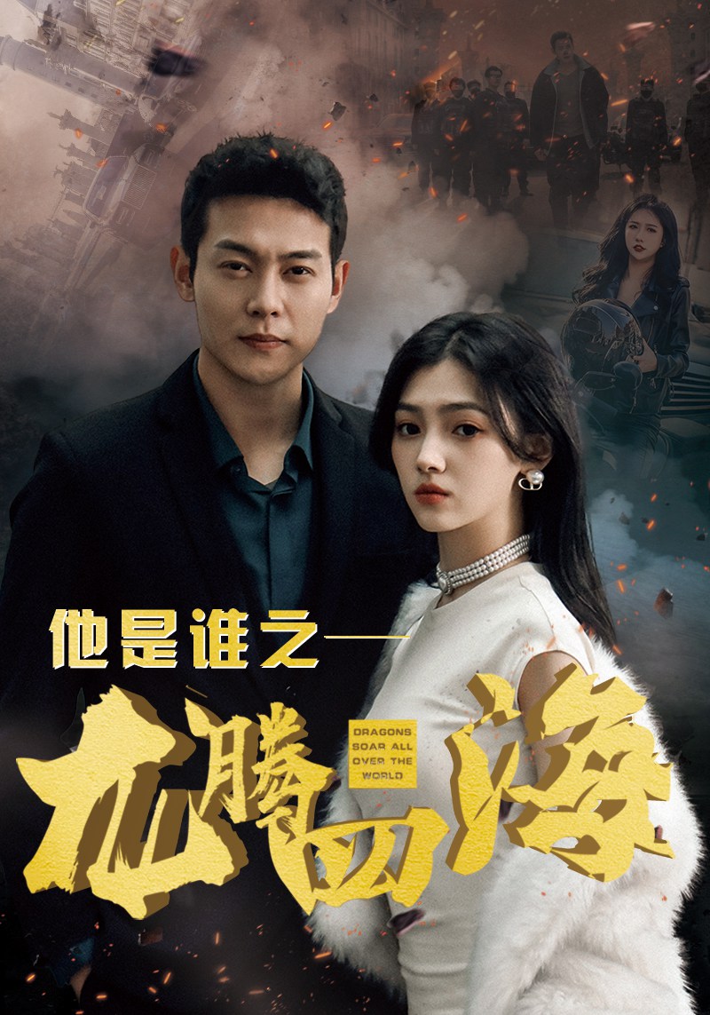 他是谁之龙腾四海封面图