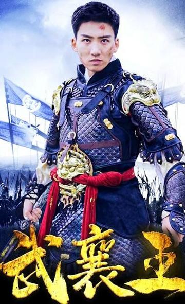 武襄王封面图