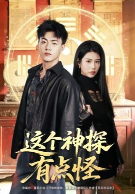 这个神探有点怪封面图