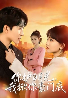 你护白月光我掀你豪门底