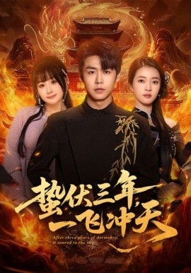 蛰伏三年一飞冲天